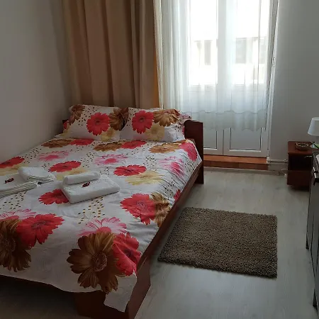 Cozy Studio Calea Victoriei