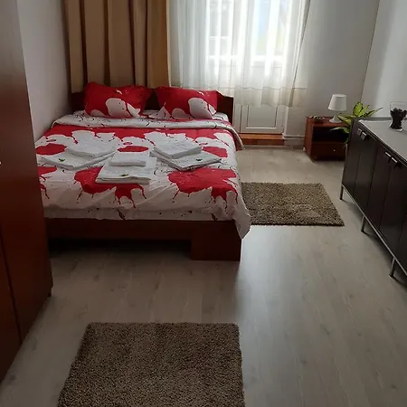 Cozy Studio Calea Victoriei *