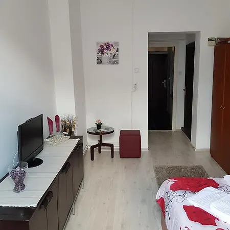 Apartman Cozy Studio Calea Victoriei Bukarest