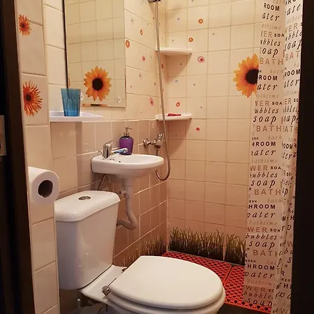 Cozy Studio Calea Victoriei