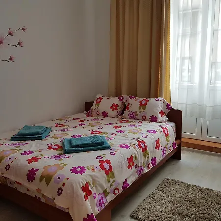 Cozy Studio Calea Victoriei *