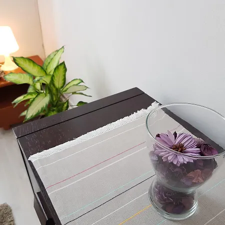 Apartman Cozy Studio Calea Victoriei Bukarest