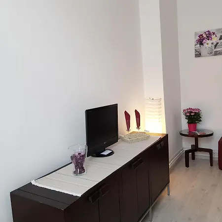 Cozy Studio Calea Victoriei * Bukarest
