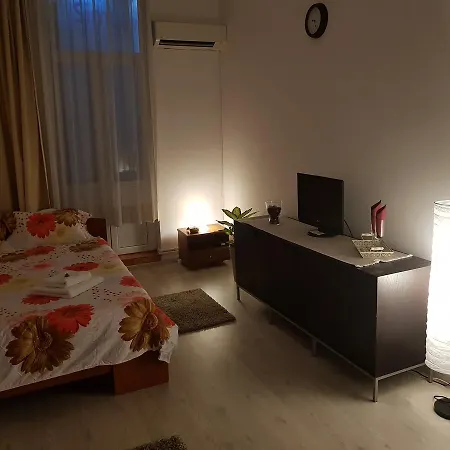 Apartman Cozy Studio Calea Victoriei